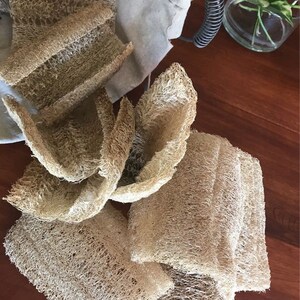 May include: A collection of natural loofah sponges in various shapes and sizes. The sponges are light brown and have a rough, textured surface.