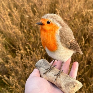 Needle Felted Robin, Robin Ornament, Felt Art, Felted Bird, Felt Bird image 6