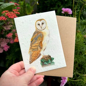 Wildflower Plantable Seed Card, Barn Owl Greetings Card, Owl Birthday Card, Wildflower Card, Note Card image 1