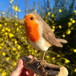 Needle Felted Robin, Robin Ornament, Felt Art, Felted Bird, Felt Bird image 3