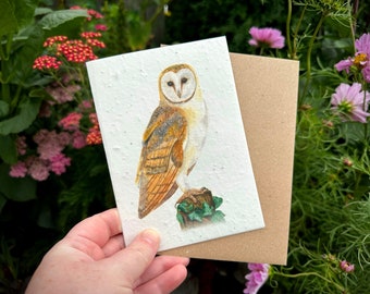 Wildflower Plantable Seed Card, Barn Owl Greetings Card, Owl Birthday Card, Wildflower Card, Note Card