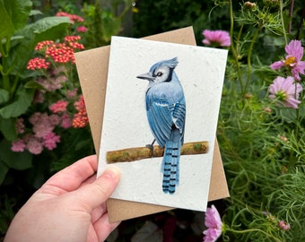 Wildflower Plantable Seed Card, Blue Jay Greetings Card, Blue Jay Birthday Card, Wildflower Card, Note Card