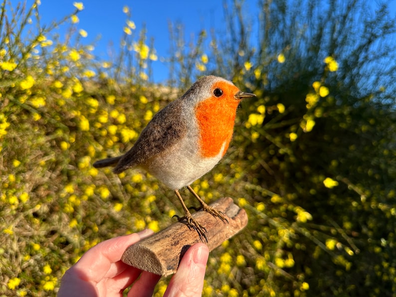 Needle Felted Robin, Robin Ornament, Felt Art, Felted Bird, Felt Bird image 4