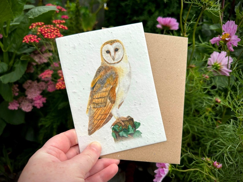 Wildflower Plantable Seed Card, Barn Owl Greetings Card, Owl Birthday Card, Wildflower Card, Note Card image 1