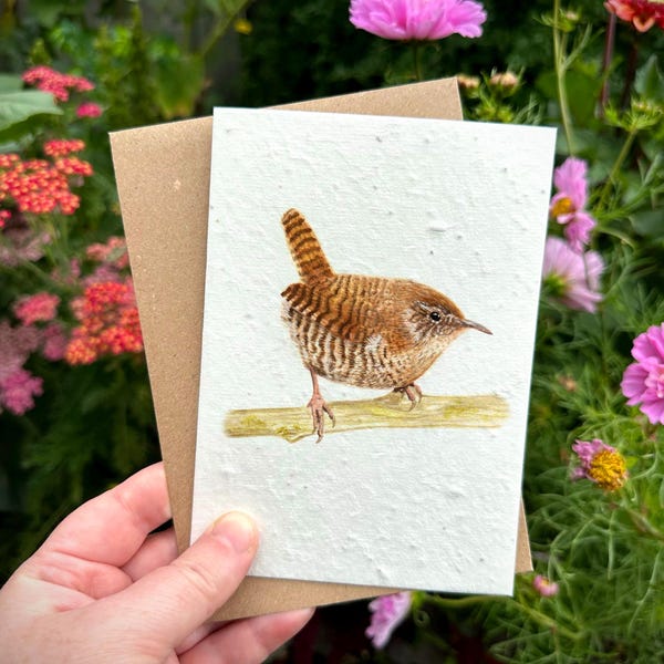 Wildflower Seed Card: Wren Watercolor Greeting Card