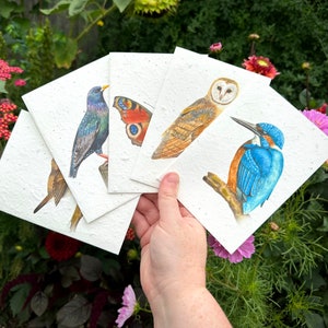 Wildflower Plantable Seed Card, Barn Owl Greetings Card, Owl Birthday Card, Wildflower Card, Note Card image 3