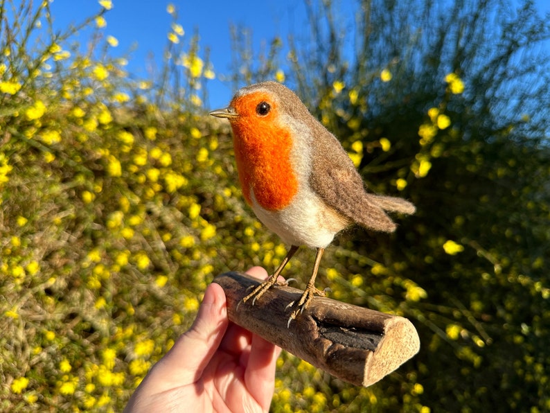 Needle Felted Robin, Robin Ornament, Felt Art, Felted Bird, Felt Bird image 3