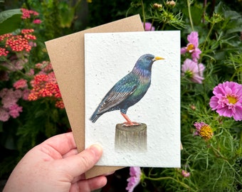 Wildflower Plantable Seed Card, Starling Greetings Card, Starling Birthday Card, Wildflower Card, Note Card