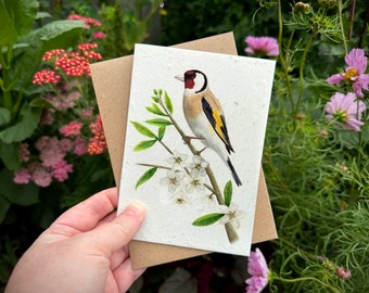 Wildflower Plantable Seed Card, Goldfinch Greetings Card, Goldfinch Birthday Card, Wildflower Card, Note Card