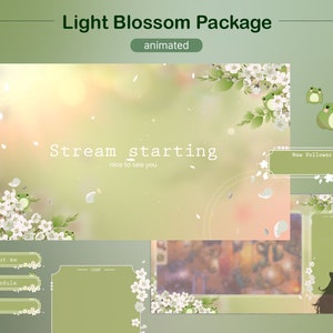 Niedliche Blumen Frosch Overlay | Animierte Stream Overlay | Vtuber Twitch Paket | Cottagecore Auflage | Kawaii Frosch | Vtuber Hintergrund Grün