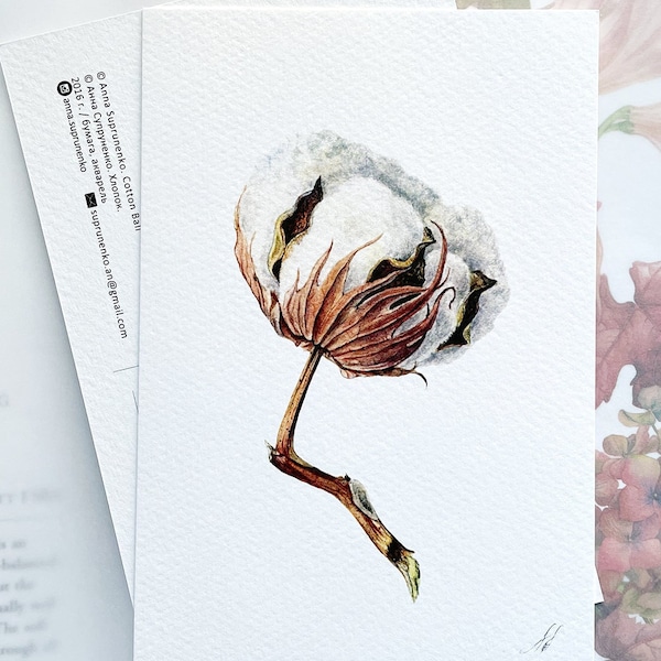 Cotton Ball Card, Handmade Postcard, greeting cards, postcard, birthday card, birthday gift, Botanical Art Watercolor Illustration Painting