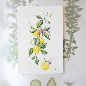 Citrons - carte botanique, carte faite main, art vintage, art aquarelle illustration, peinture beaux-arts style réaliste Légumes du jardin