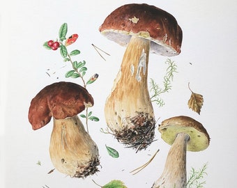 White Mushrooms - Botanical Print, Handmade print, wall art print, Watercolour, Fine Art Print, Decorative wall, Forest mushrooms