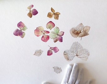 Hydrangea flowers. Fine Art print, Flower Painting, Botanical Art, Watercolour Painting, Illustration, Wall Decor, Birthday gift