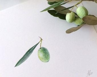Olive Illustration - Watercolor Art, Greece olive, Botanical Art, Handmade, Original Painting, Illustration, Kitchen decoration, Home decor