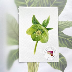 Elleboro verde - Biglietto di auguri natalizio, cartolina fatta a mano, biglietti di auguri, cartolina di Natale, biglietto di auguri di compleanno, decorazioni natalizie