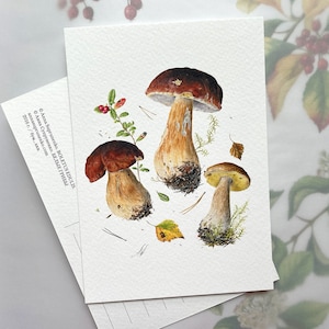 Funghi Porcini - Biglietti d'auguri. Notecard, Botanical Art Card, Illustrazione botanica, Pittura Fine Art, biglietti fatti a mano, biglietto di compleanno,