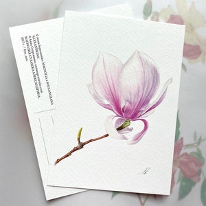 Fleur de magnolia rose - Carte de vœux. Carte botanique, Illustration botanique, Peinture Beaux-arts, cartes faites à la main, carte d’anniversaire, pivoines