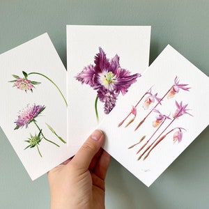Collection de fleurs. Jeu de 3 cartes botaniques faites à la main. cartes de vœux, carte postale, carte d’anniversaire, cadeau d’anniversaire, beaux-arts, aquarelle