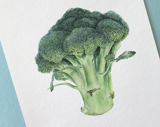 Broccoli. Fine art print, Wall prints vegetable, Handmade print, Gift for gardener, Wall decor, Kitchen wall art, Green vegetables