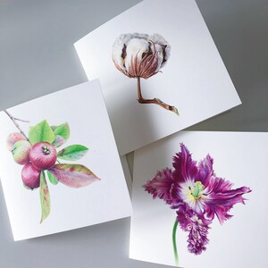 Juego de 3 art blank cards - Parrot Tulip, Cotton Ball, Guayaba. Tarjeta botánica hecha a mano, Tarjeta de cumpleaños, Bellas artes, tarjetas de felicitación de regalo de cumpleaños