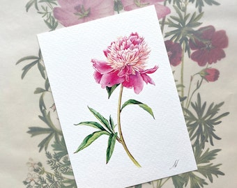 Pink Peony - Greeting Card. Botanical Card, Botanical Watercolor Illustration, Painting Fine Art, handmade cards, birthday card, peonies