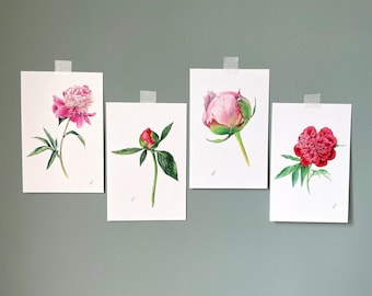 Peonies Flowers Collection. Set of 4 Botanical Handmade cards. greeting cards, birthday card, birthday gift, Fine Art, Watercolour art