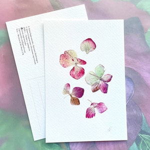 Hortensia, Carte postale faite à la main, cartes de vœux, carte postale, carte d’anniversaire, cadeau d’anniversaire, Art botanique Aquarelle Illustration Peinture