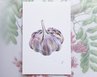 Garlic - Handmade Botanical Card, Botanical Illustration, Garlic Painting, Fine Art, vegetables, greeting cards, wall decor, birthday gift