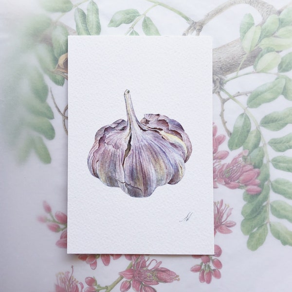 Garlic - Handmade Botanical Card, Botanical Illustration, Garlic Painting, Fine Art, vegetables, greeting cards, wall decor, birthday gift