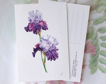 Purple Irises - Botanical Card Handmade Postcard, greeting cards, postcard, birthday card, birthday gift Fine Art Realistic Garden flowers