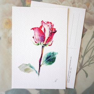 Roze Roos Bloem - Wenskaart. Botanische kaart, botanische illustratie, schilderij Fine Art, handgemaakte kaarten, verjaardagskaart, rozen verjaardagskaart