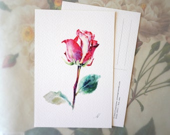 Pink Rose Flower - Greeting Card. Botanical Card, Botanical Illustration, Painting Fine Art, handmade cards, birthday card, roses bday card