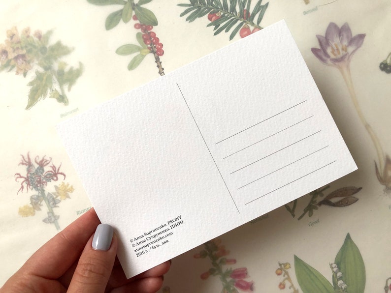 May include: A white postcard with black text. The text reads "Anna Sopeunenko. PEONY &copy; Акка Супруненко. ПИСМ annasoprusesk.com 2006 г. /бум, ак".