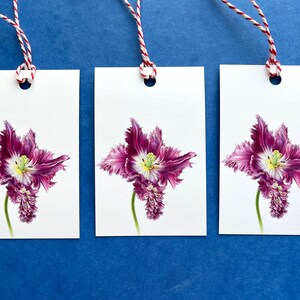 Tulip Geschenkanhänger. Set von 3 Blumen Tags, handgemachte botanische Etiketten, Geschenkanhänger für Geburtstagsgeschenk, Geschenkanhänger für Briefpapier, Hochzeitsgeschenk