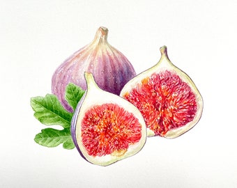 Figs Illustration - Watercolour Art, Botanical Art, Handmade,Original Painting, Illustration, Kitchen decoration, Home decor, Christmas gift