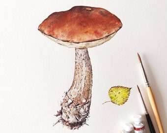 Original watercolour. Orange-cap boletus, Botanical Painting, Original Artwork, Home Decor, Decorative wall art, Forest mushrooms