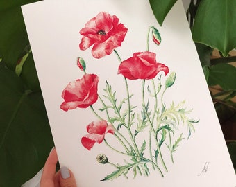 Red Poppies. Botanical Art Print, Flower Painting, red flower illustration, Watercolour, Fine Art, floral wall decor, gardener gift, decor