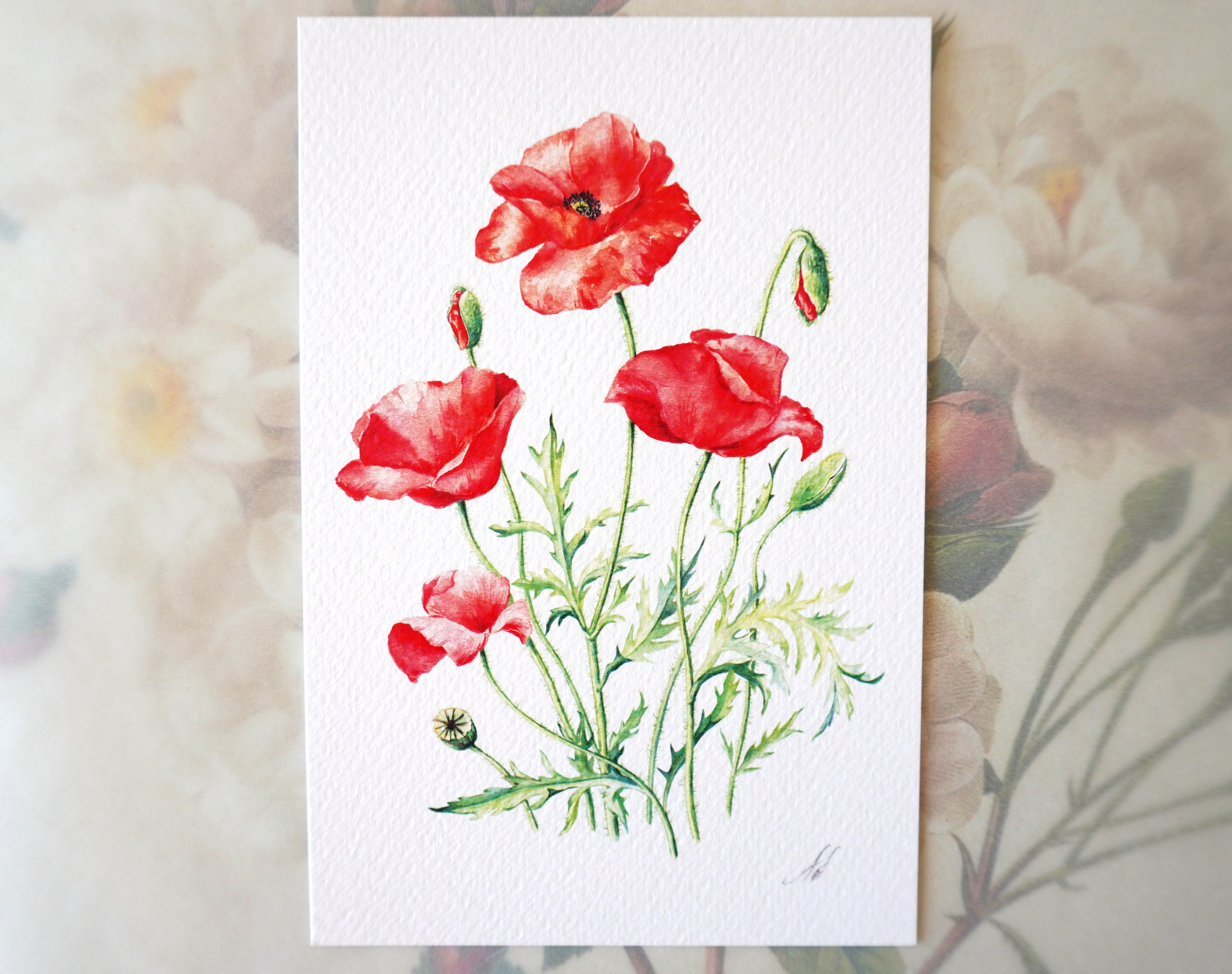 Garden Flowers. Set of 3 Botanical POSTCARDS. Poppies | Etsy