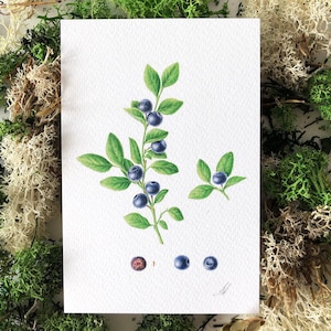 Myrtilles - Carte botanique, Carte faite main, art vintage, Art Aquarelle Illustration Peinture Fine Art Style réaliste Légumes de jardin