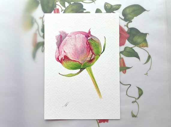Pink Peony Bud - Greeting Card. Botanical Card, Botanical Watercolor Illustration, Painting Fine Art, handmade cards, birthday card, peonies