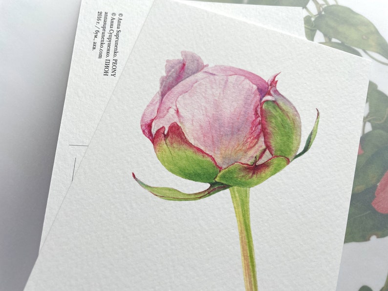 May include: A watercolor painting of a pink peony bud with green leaves and a long stem. The painting is on a white background.