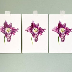 Tulipes perroquet. Lot de 3 cartes botaniques faites main, cartes de voeux, carte postale, carte d'anniversaire, cadeau d'anniversaire, beaux-arts, peinture botanique, mur