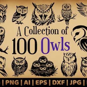 Bundel 100 uilen | Vectorgraphics van Fox voor commercieel gebruik | Svg, png, dxf, eps, pdf, ai, jpg | Sublimatie, lasergravure, stickers, stencils |