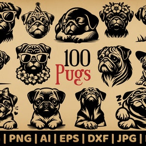 Paquete 100 Pug / Gráficos vectoriales de uso comercial / Svg, Png, Dxf, Eps, Pdf, Ai, Jpg Formatos / Sublimación, Grabado láser, Logotipo, Plantilla