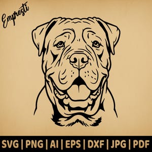 Neapolitan Mastiff Portrait Head | Commercial Use Vector | Svg Png Dxf Eps Pdf Ai Jpg | Sublimation, Laser Engraving, Cut File, CNC, Clipart
