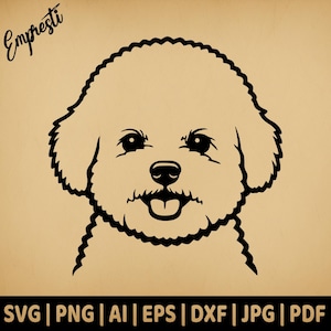 Bichon Frise Portrait Head | Commercial Use Vector | Svg Png Dxf Eps Pdf Ai Jpg | Sublimation, Laser Engraving, Cut File, CNC, Clipart
