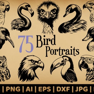75 Bird Portrait Bundle | Commercial Use Vector Graphics | Svg, Png, Dxf, Eps, Pdf, Ai, Jpg Formats | Sublimation, Laser Engraving, Logo