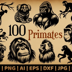 May include: A collection of 100 black and white illustrations of primates, including gorillas, monkeys, and chimpanzees. The illustrations are in a vintage style and are perfect for use in crafts, scrapbooking, or digital design.