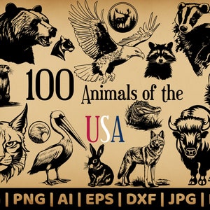Lot de 100 animaux américains PNG SVG | Sublimation | Téléchargement instantané | EPS | dxf | pdf | Graphiques Vectoriels | Clipart Woodland |